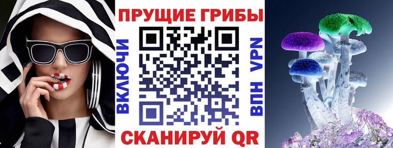 где купить   кракен ССЫЛКА  Псилоцибиновые грибы мицелий  Усолье-Сибирское 